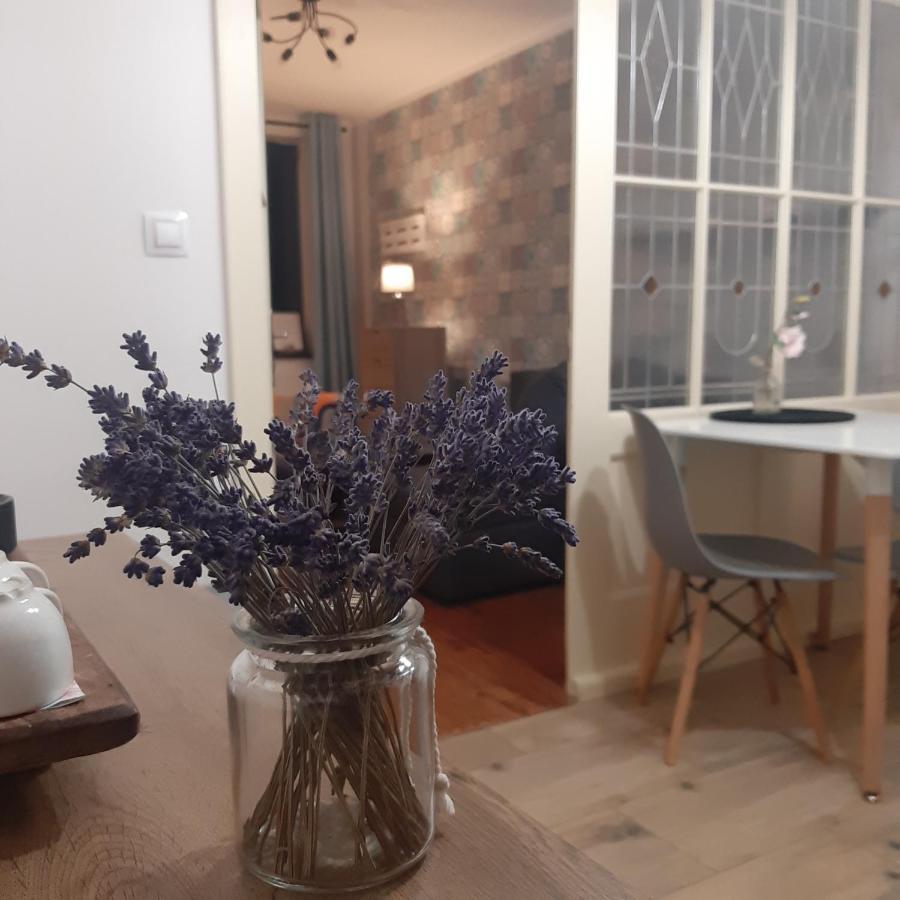 Apartment U Javoru